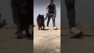 اصبر ياوطن  اصبر ياوطن