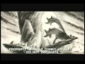 Download Lagu The Making of The Lion King Part 3