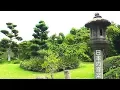 Download Lagu Beautiful Japanese Garden Video with Traditional Japanese Music with Koto, Shamisen, Bamboo Flute!