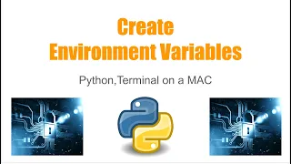 Python Environment Variables