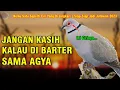 Download Lagu 2025 Auto Jadi Boss..!! CIRI KATURANGGAN BURUNG PUTER YANG BIKIN KAYA MENDADAK |