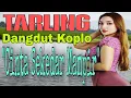 Download Lagu TARLING DANGDUT KOPLO || CINTA SEKEDAR MAMPIR