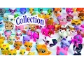 BIG Littlest Pet Shop Collection Tour All Cats Dogs Fairy More Animals LPS