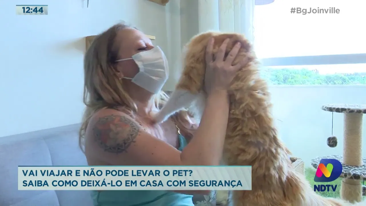 Vai viajar e não pode levar o pet? Saiba como deixá-lo em casa com segurança