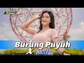 Download Lagu VIRAL TIKTOK | DJ BURUNG PUYUH BURUK PUTUT DIMAKAN BIAWAK | DJ REMIX PARGOY TERBARU JEDAG JEDUG 2022