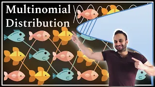 The Multinomial Distribution Data Science Basics