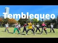 Lagu ZIN Volume 113  Temblequeo - Reggaeton-Salsa / Zumba