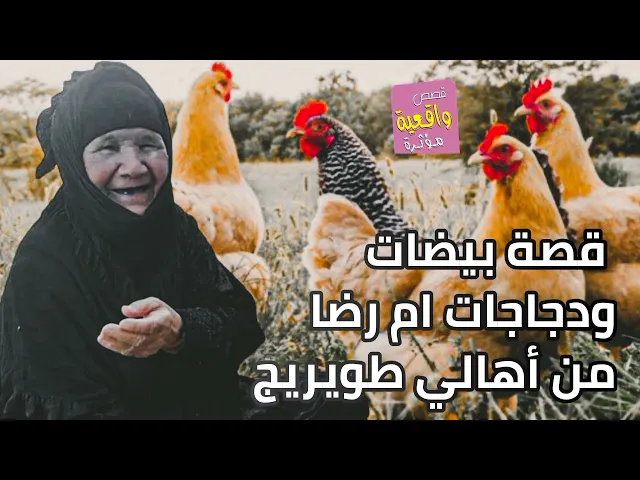 ⁣قصة بيضات ودجاجات ام رضا - قصه واقعية