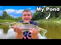 I Stocked Rainbow Trout into My Pond