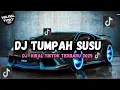 Download Lagu DJ CAMPURAN VIRAL TIKTOK 2025 || DJ TUMPAH SUSU