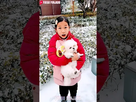 ¡El Momento Exacto En Que el Perro Salva A La Gatita! ❄️🐱