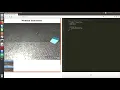 01 - WebSim