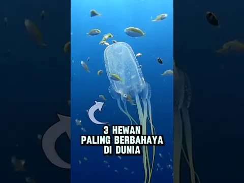 3 HEWAN PALING BERBAHAYA DI DUNIA