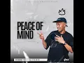 Lagu SLOW JAM MIX 2025 | THE HEALER | PEACE OF MIND EPISODE 131 | DJ Ace ♠️