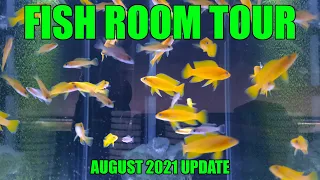 Download Spawning drama! What happened Fish Room Tour - August 2021 MP3