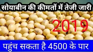 सोयाबीन ने तोड़ा रिकॉर्ड 10 दिन में 15% की तेजी | सोयाबीन मंडी भाव भविष्य 2019| soyabean mandi rate