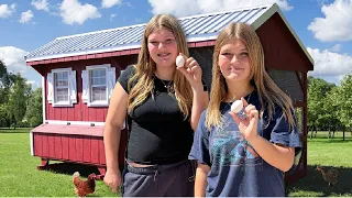 We Have CHiCKEN EGGS! We are Real FARMERS