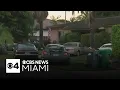 Neighbors demand action on South Miami home packed with dozens of old cars