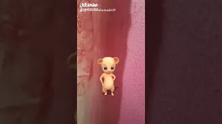 بالحب الدنيا تمشي 