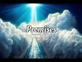 Promises - Maverick City feat. Naomi Raine | Lyrics Video