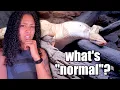 What is Normal Ball Python Behavior