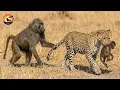 Lagu The Ruthless Life of the Wild Savanna’s Deadliest Predators | Wild Animals Full Episode