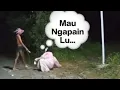 Download Lagu kuntilanak vs orang gila