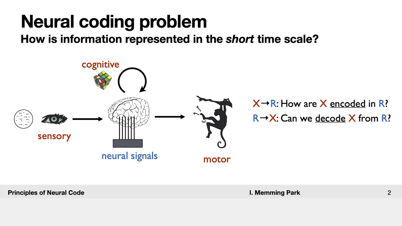 [Lecture] Principles of Neural Coding