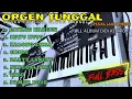 Download Lagu ORGEN TUNGGAL ALUNA CHANEL