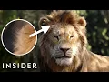 Download Lagu How 'The Lion King' Remake Was Animated | Movies Insider