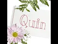 Apex Quinn Embroidery Sketch Font