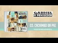 Gabriel o Pensador - Cachimbo da Paz