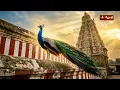 Valli Kanavan Perai | வள்ளிக் கணவன் பேரை | Thirupugazh | Sharan | திருப்புகழ் | Abinaya | JothiTv