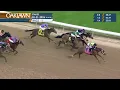 Oaklawn Park February 21 2026 The 18th Running of NODOUBLE BREEDERS STAKES