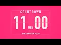 11 Minute Countdown Timer Flip Clock with Vibration Beeps