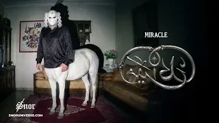                                  آلبوم          دندنها