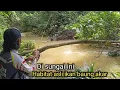 Download Lagu Seharian..!! Blusukan di hutan berburu ikan baung akar