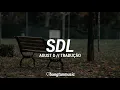 Agust D || SDL || Tradução PT/BR