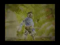 Download Lagu Ari Árelíus - Melrakki (Official Video)
