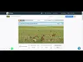Prairie Ecosystem Gizmo - Biodiversity Populations