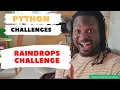 06 Learn Python Exercise Raindrops Challenge