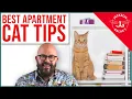 BEST Apartment Cat Hacks