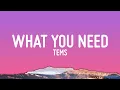 Lagu Tems - What You Need (Lyrics)