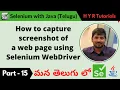P15 - How to capture screenshots of a web page using Selenium WebDriver