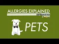 Allergies Explained - Pets