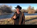 Budtenders Tour Of Belushi s Farm With Jim Belushi Growing Belushi