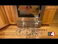 Consumer Reports warns about rise in exploding oven doors 40 injuries