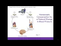 AP1 Online Chapter 1 Intro to Anatomy