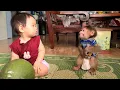 Download Lagu Monkey David playfully bared his teeth and threatened the baby