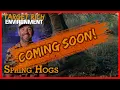 Download Lagu Wild Hogs! - Target Rich Environment - Spring Hogs - 4K - Tease